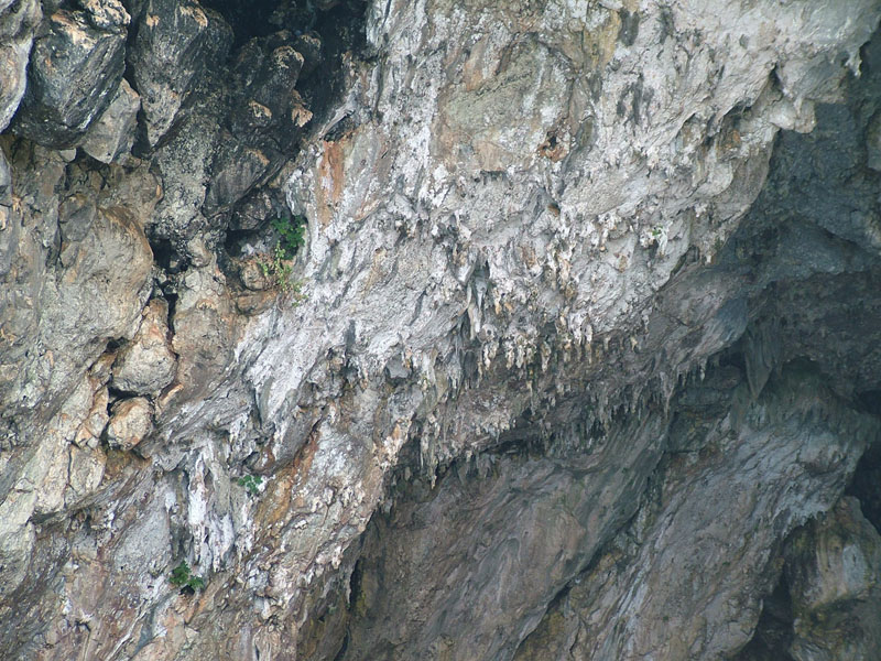 grotte di leuca